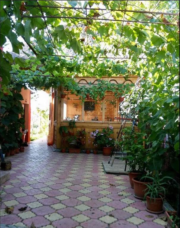 Casa Calin Hotel Crisan  Exterior photo